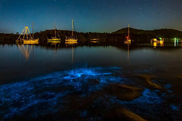 Auckland Bioluminescence Kayak Tour - Photo 1 of 9